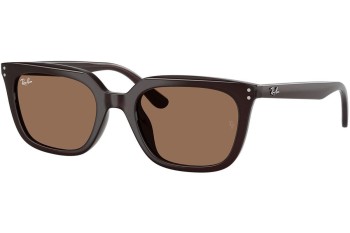 Слънчеви очила Ray-Ban RB4439D 623173 Квадратни Кафява