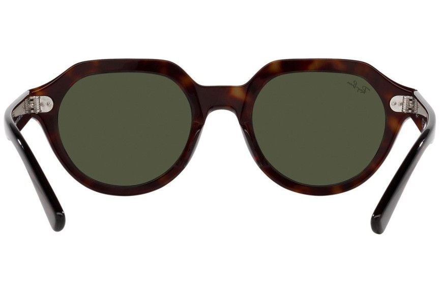 Слънчеви очила Ray-Ban Gina RB4399 902/31 Квадратни Хавана