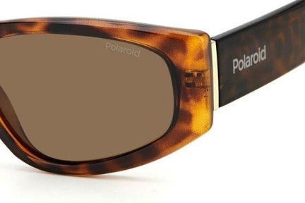 Слънчеви очила Polaroid PLD6169/S 086/SP Polarized Око на котка Хавана