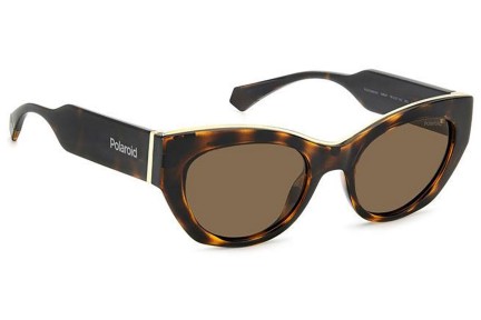 Слънчеви очила Polaroid PLD6199/S/X 086/SP Polarized Око на котка Хавана