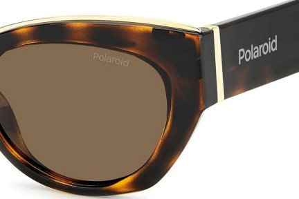 Слънчеви очила Polaroid PLD6199/S/X 086/SP Polarized Око на котка Хавана