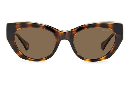 Слънчеви очила Polaroid PLD6199/S/X 086/SP Polarized Око на котка Хавана