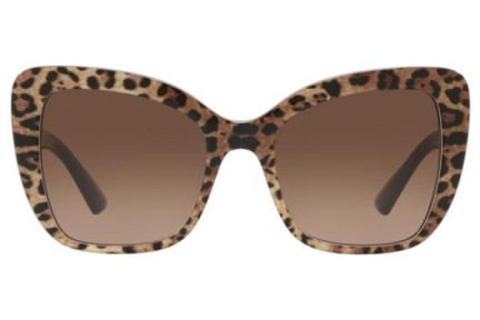 Dolce & Gabbana Icons Collection DG4348 316313