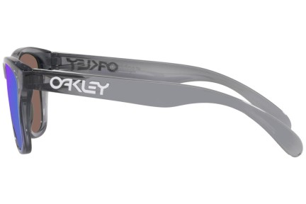 Слънчеви очила Oakley Frogskins XXS OJ9009-02 Квадратни Сива