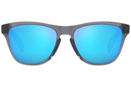 Слънчеви очила Oakley Frogskins XXS OJ9009-02 Квадратни Сива