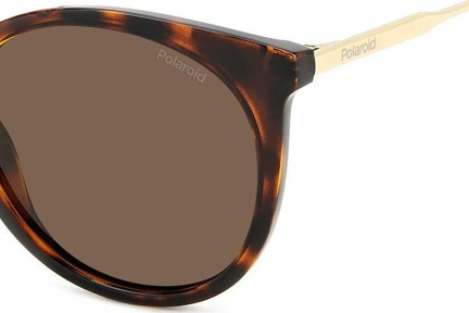 Слънчеви очила Polaroid PLD4146/S/X 086/SP Polarized Око на котка Хавана