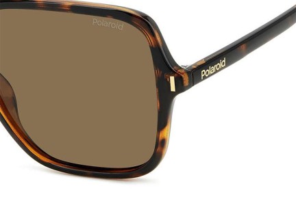 Слънчеви очила Polaroid PLD6219/S 086/SP Polarized Квадратни Хавана