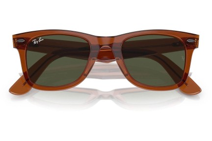 Ray-Ban Wayfarer RB2140 677631