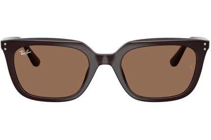 Слънчеви очила Ray-Ban RB4439D 623173 Квадратни Кафява