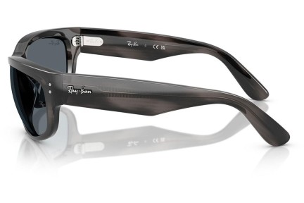 Слънчеви очила Ray-Ban RB2289 1404R5 Правоъгълни Сива