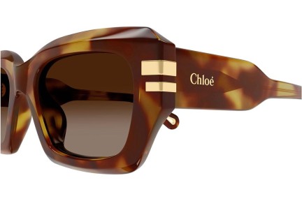 Слънчеви очила Chloe CH0256S 002 Квадратни Хавана