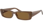 Ray-Ban RB4425 677973