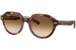 Слънчеви очила Ray-Ban Gina RB4399 141451 Квадратни Хавана